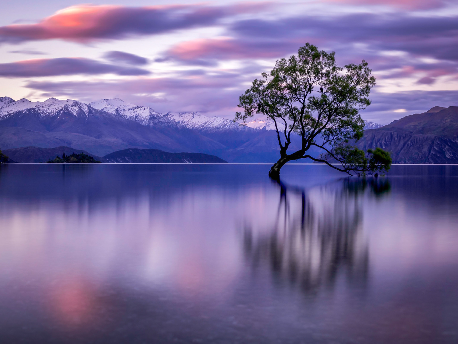 Wanaka