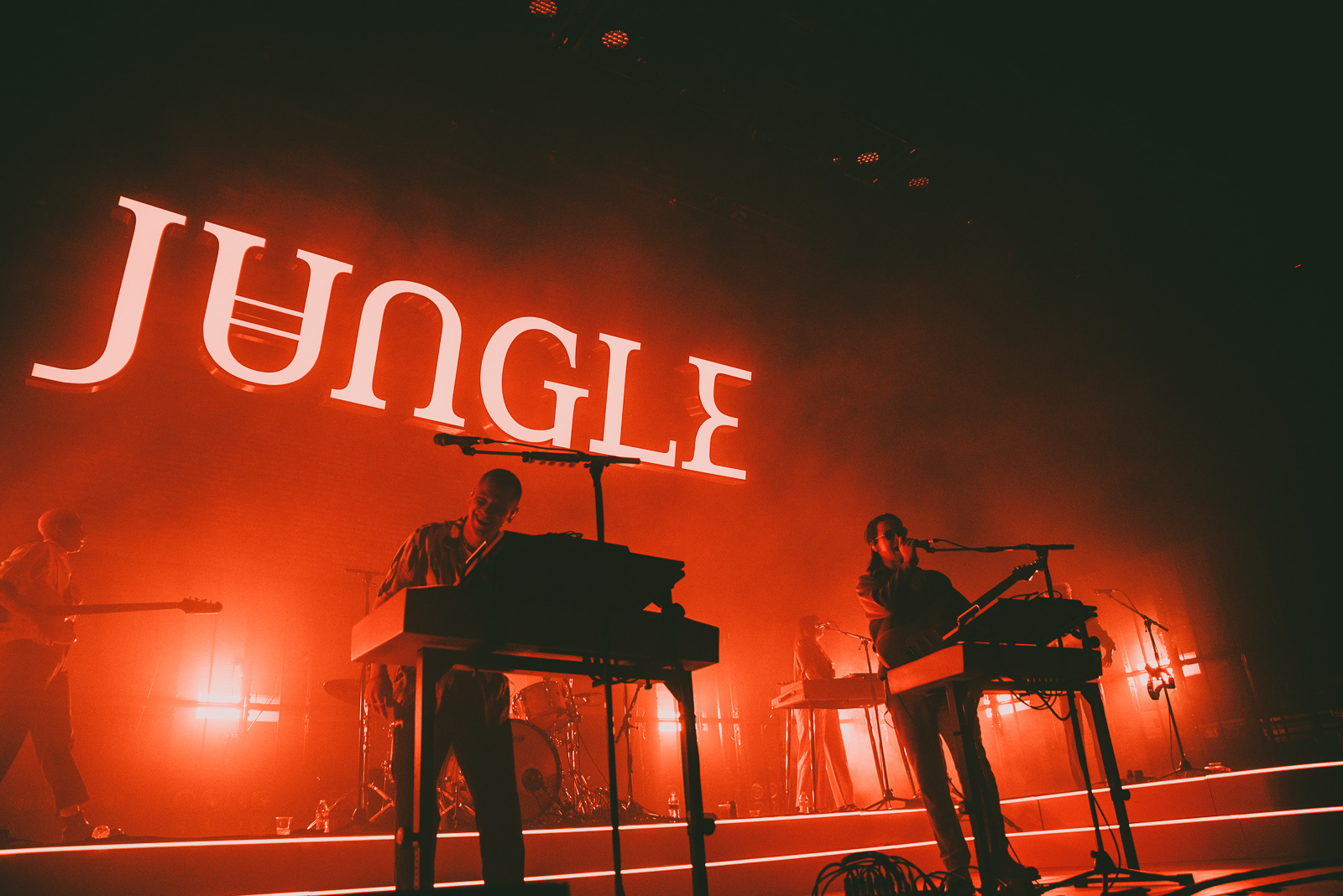 Jungle