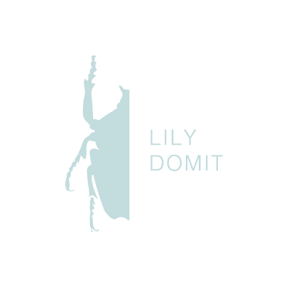 Lily Domit