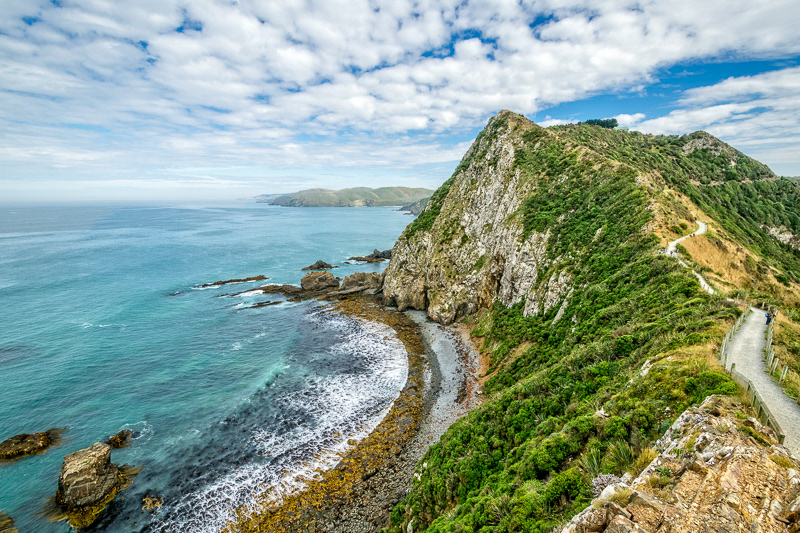 Roaring Bay, Nugget Point, Catlins - Otago