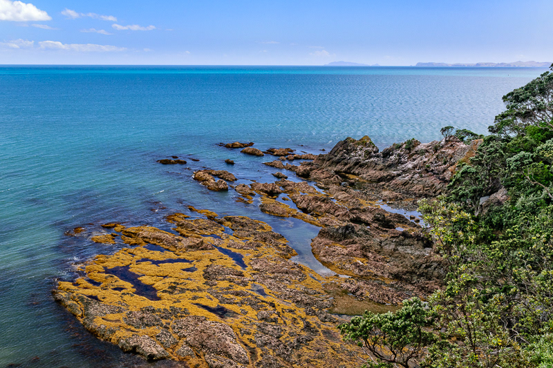 Coromandel Peninsula - Waikato