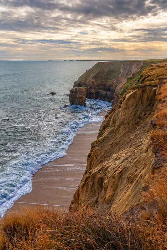 Fortrose Cliffs, West Catlins - Southland