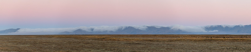 Ewe Range, Omarama - South Canterbury