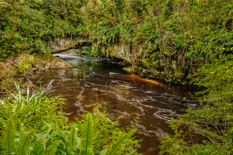 Moira Gate, Oparara River, Kahurangi National Park - West Coast