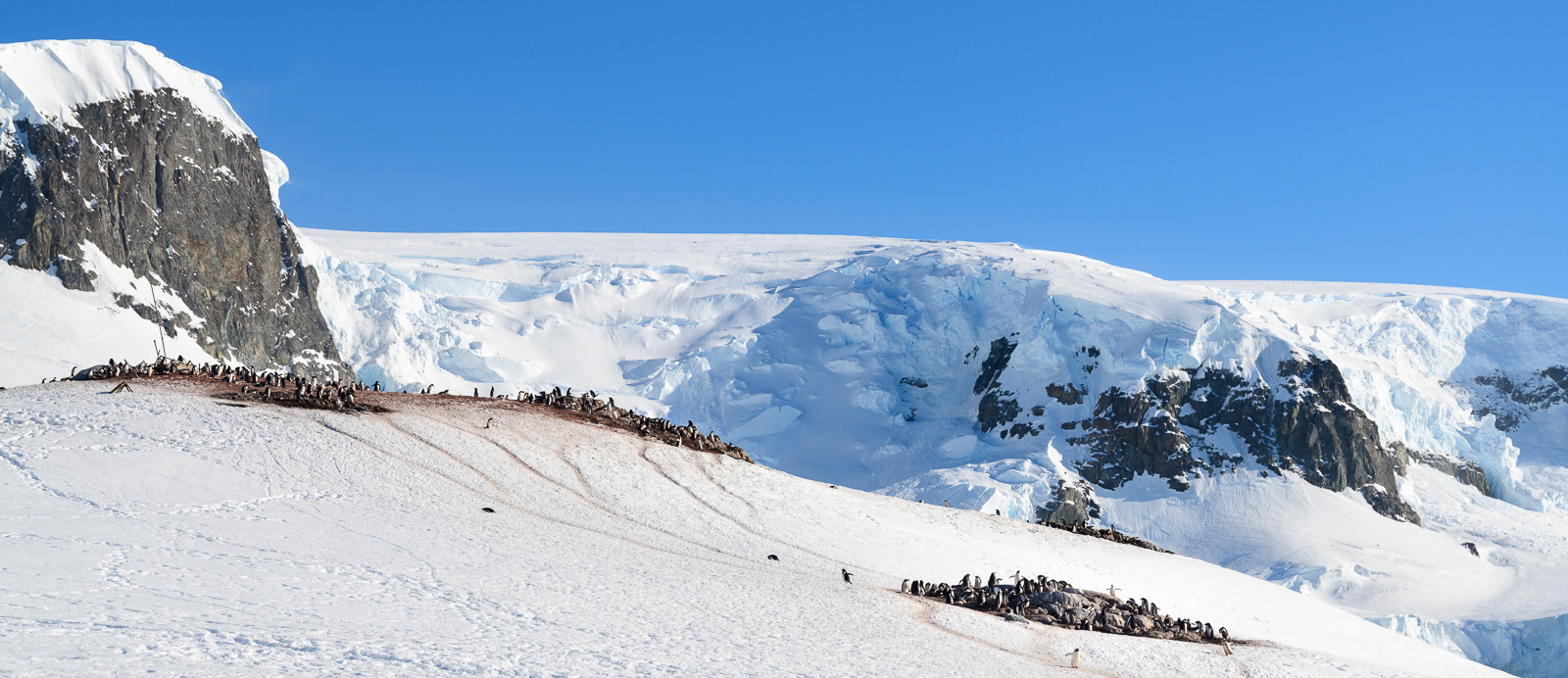 Penguin colonies - Aitcho Islands - South Shetland Islands
