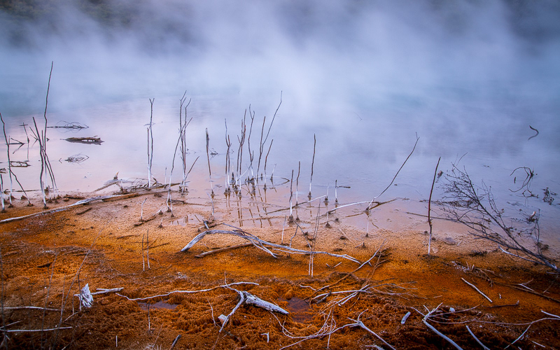 Thermal Area in Rotorua - Bay of Plenty