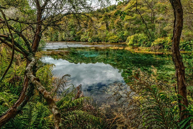 Te Waikoropupu Springs, Takaka - Tasman
