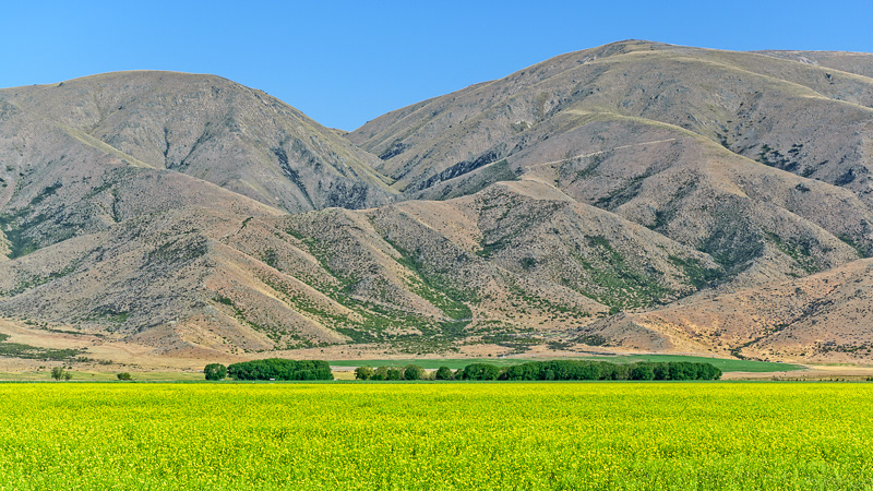 Farmland, McKenzie District - South Canterbury