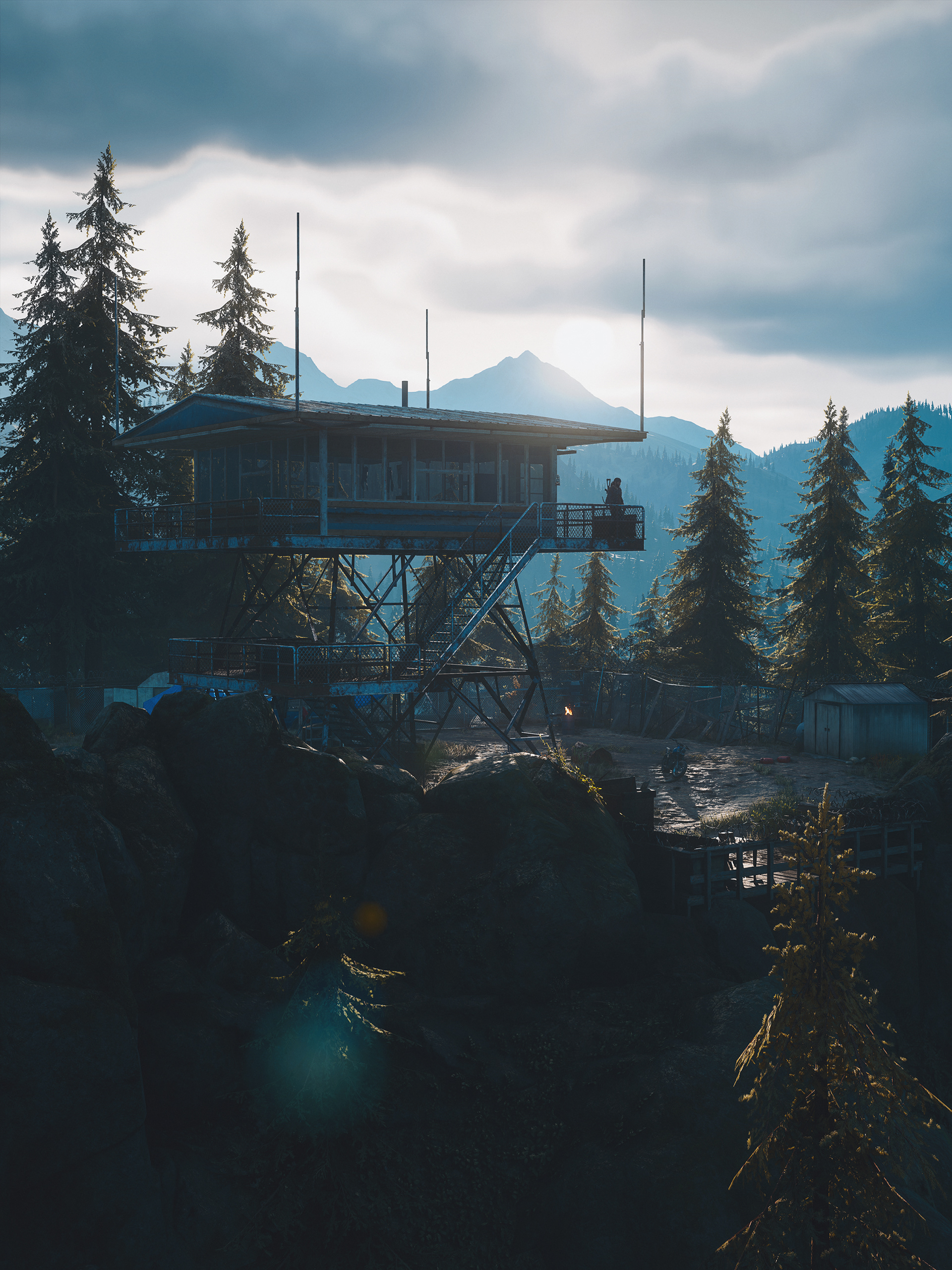 Days Gone