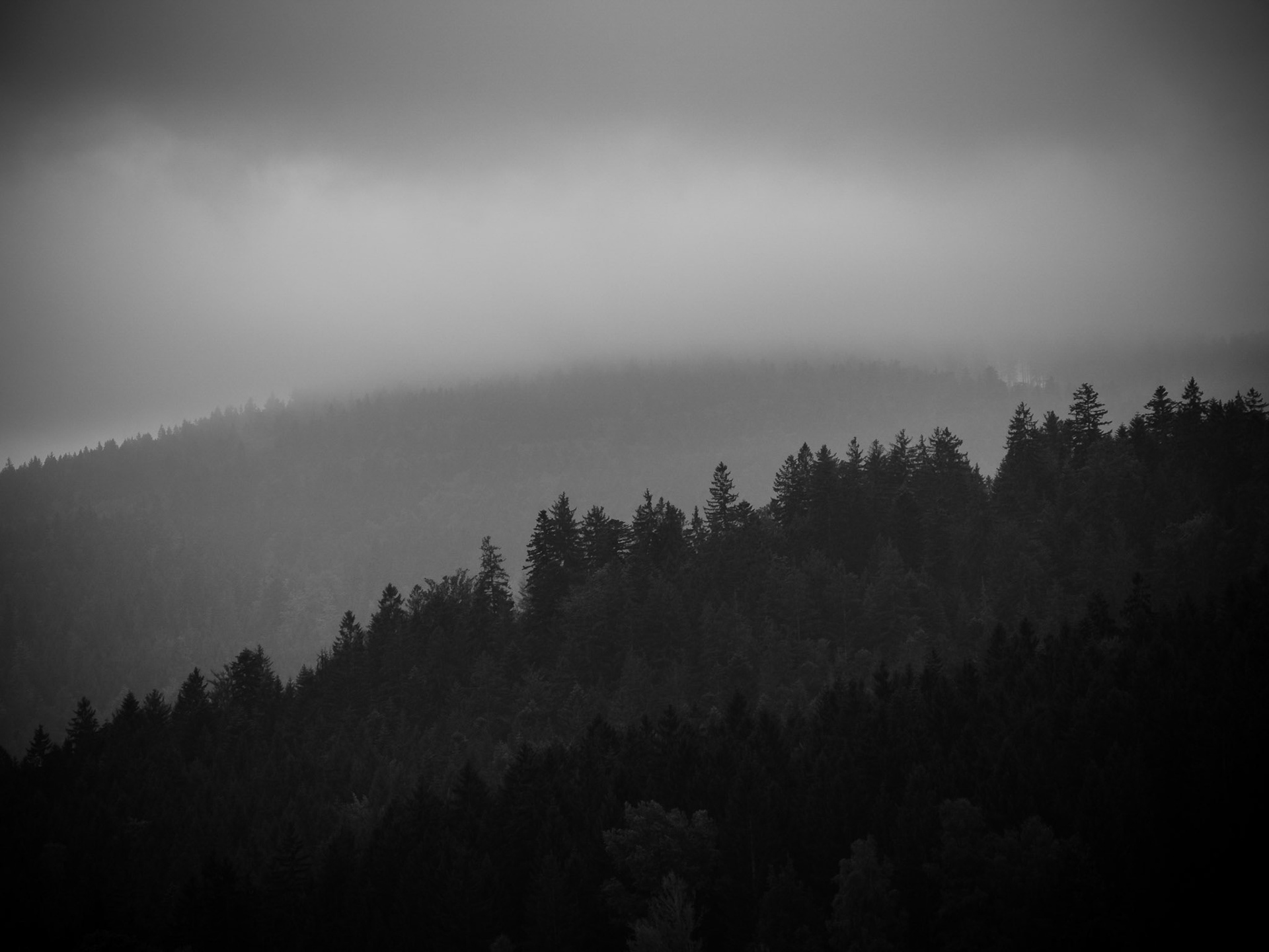 Bayrischer Wald