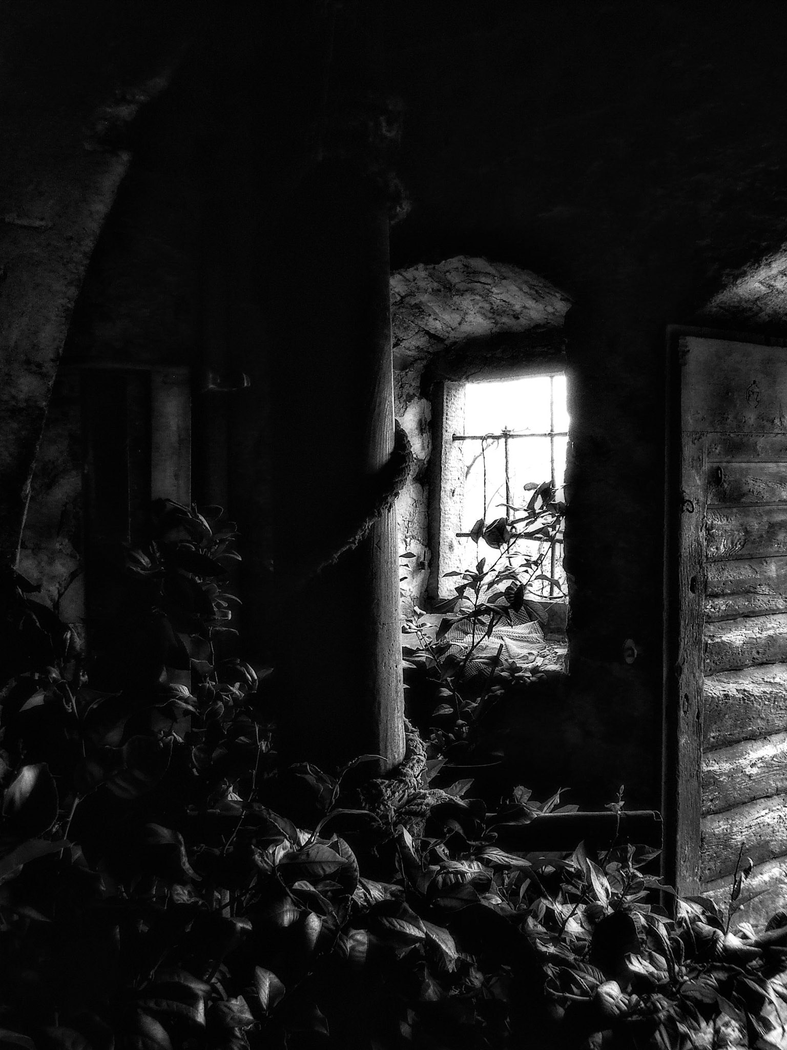 Under the Farm House - Malva Italy