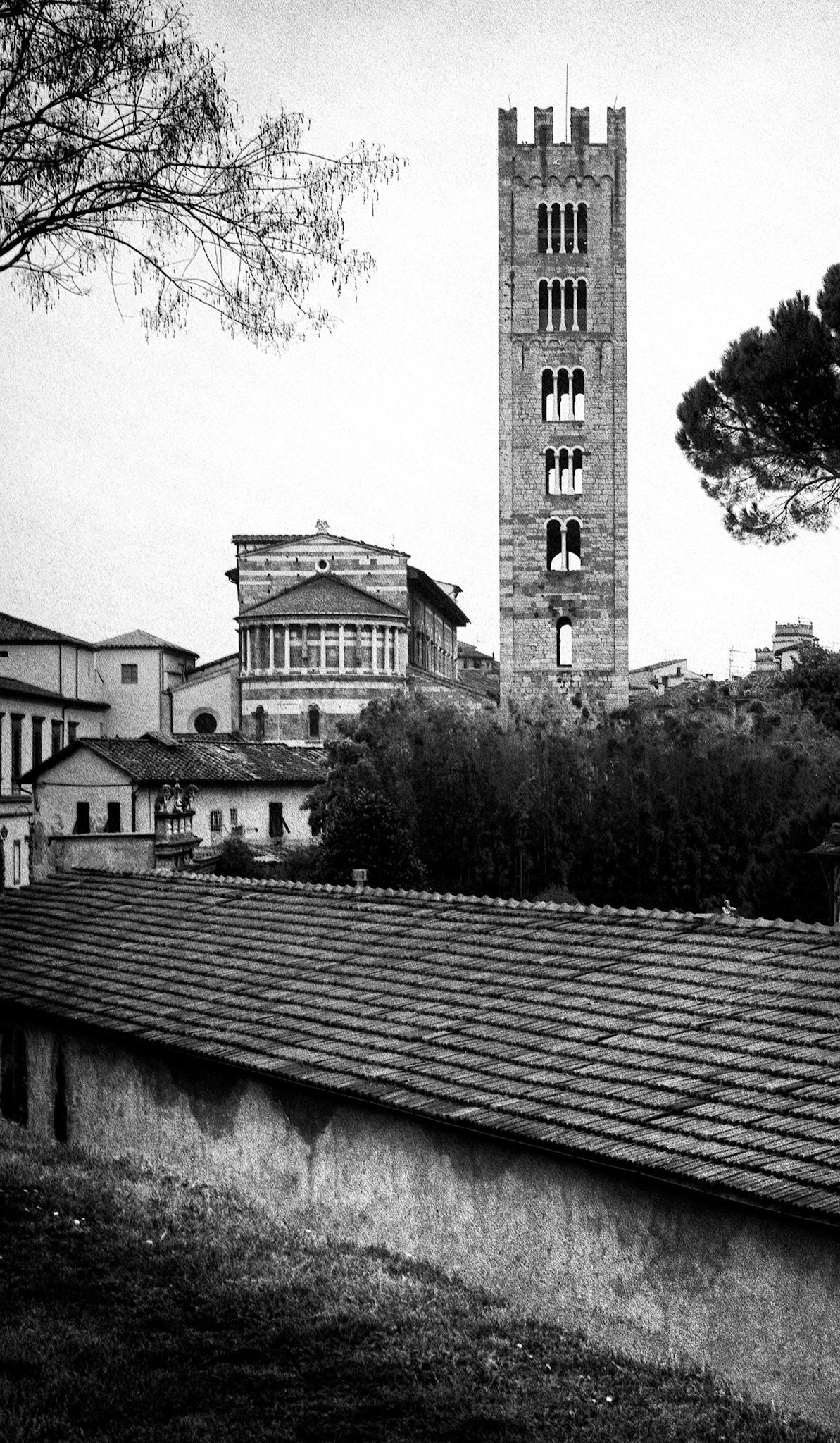 Basilica di San Frediano - Lucca Italy
