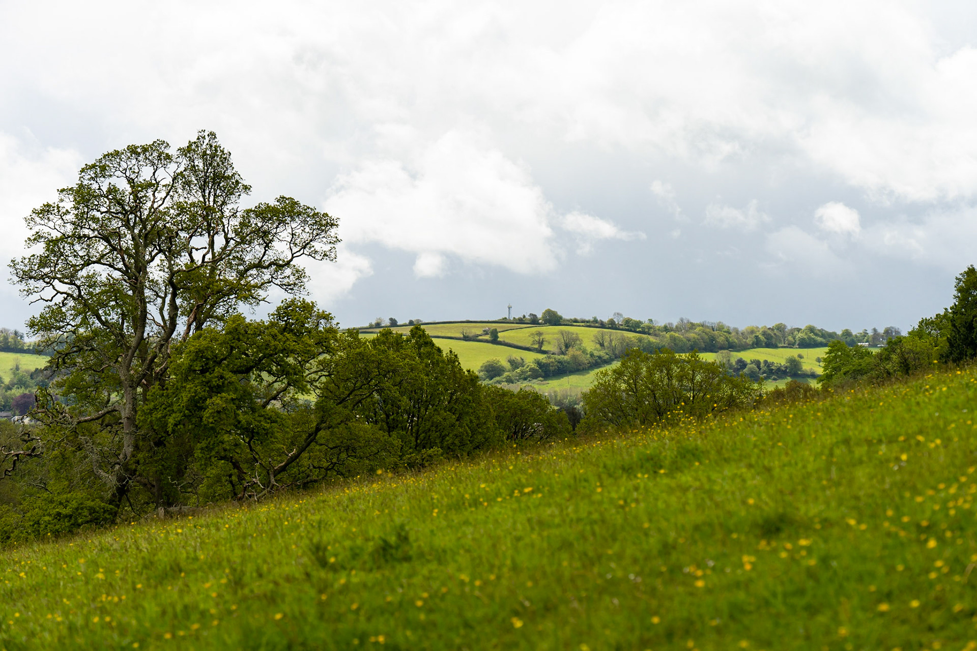 Josh Pratt | https://www.instagram.com/mrjoshpratt/