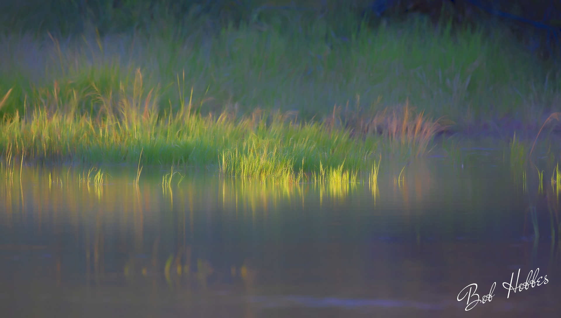 Pond at Mkhuze Game Reserve