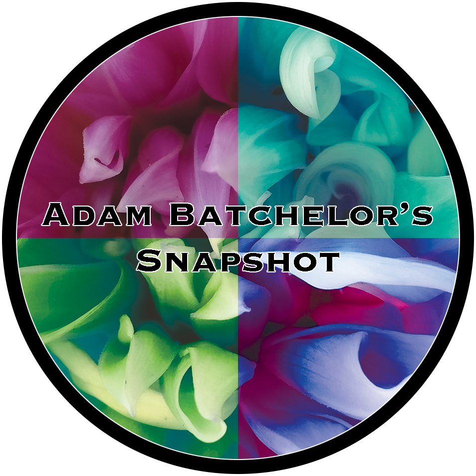 Adam Batchelor's Snapshot