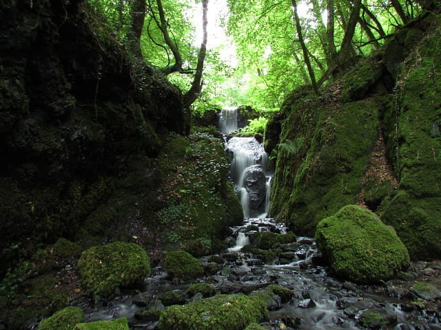 Canonteign Waterfalls
