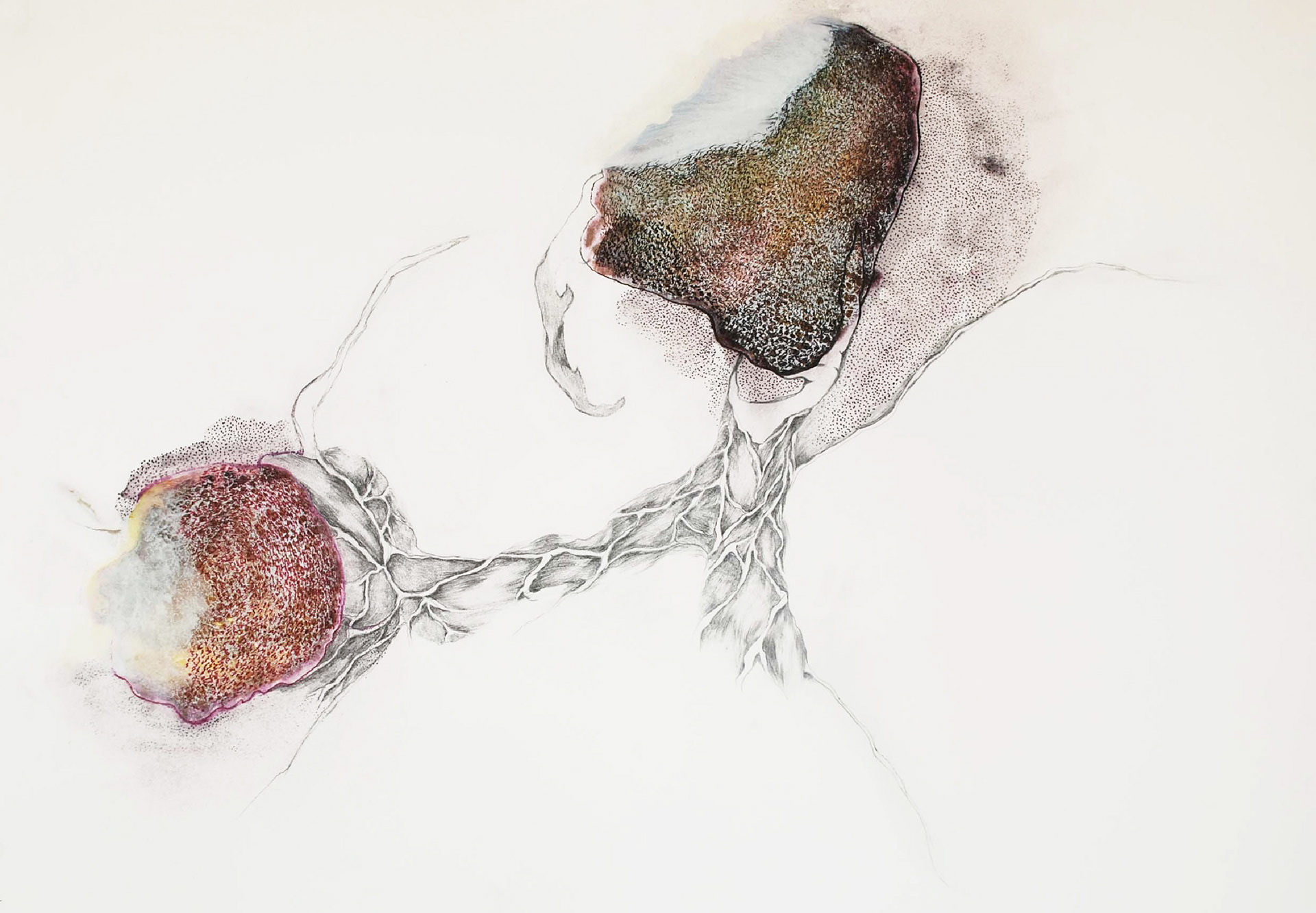 drawing 2011/ 60x80cm/ paper/ mixed media