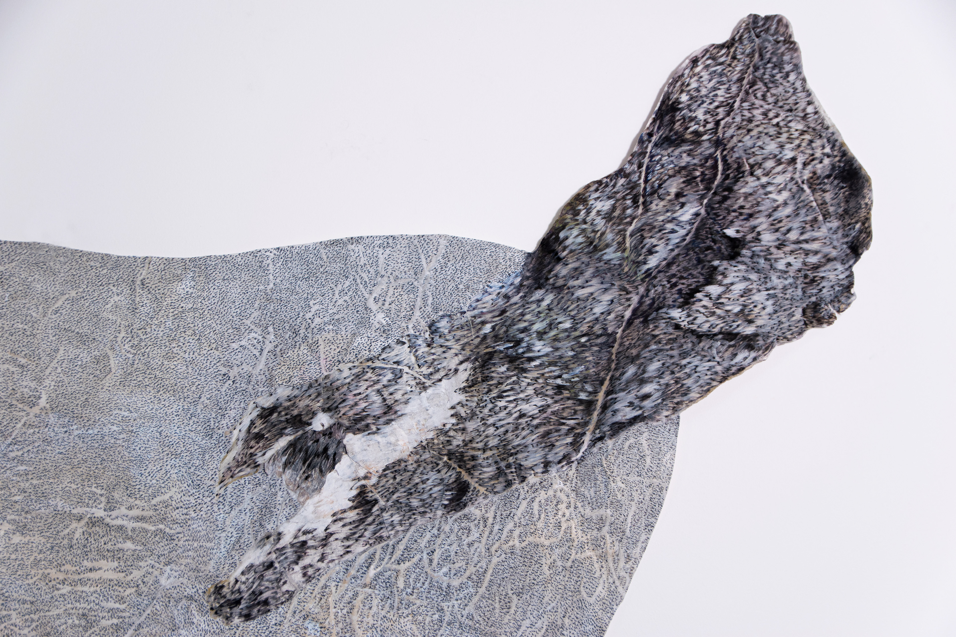 bird memory detail