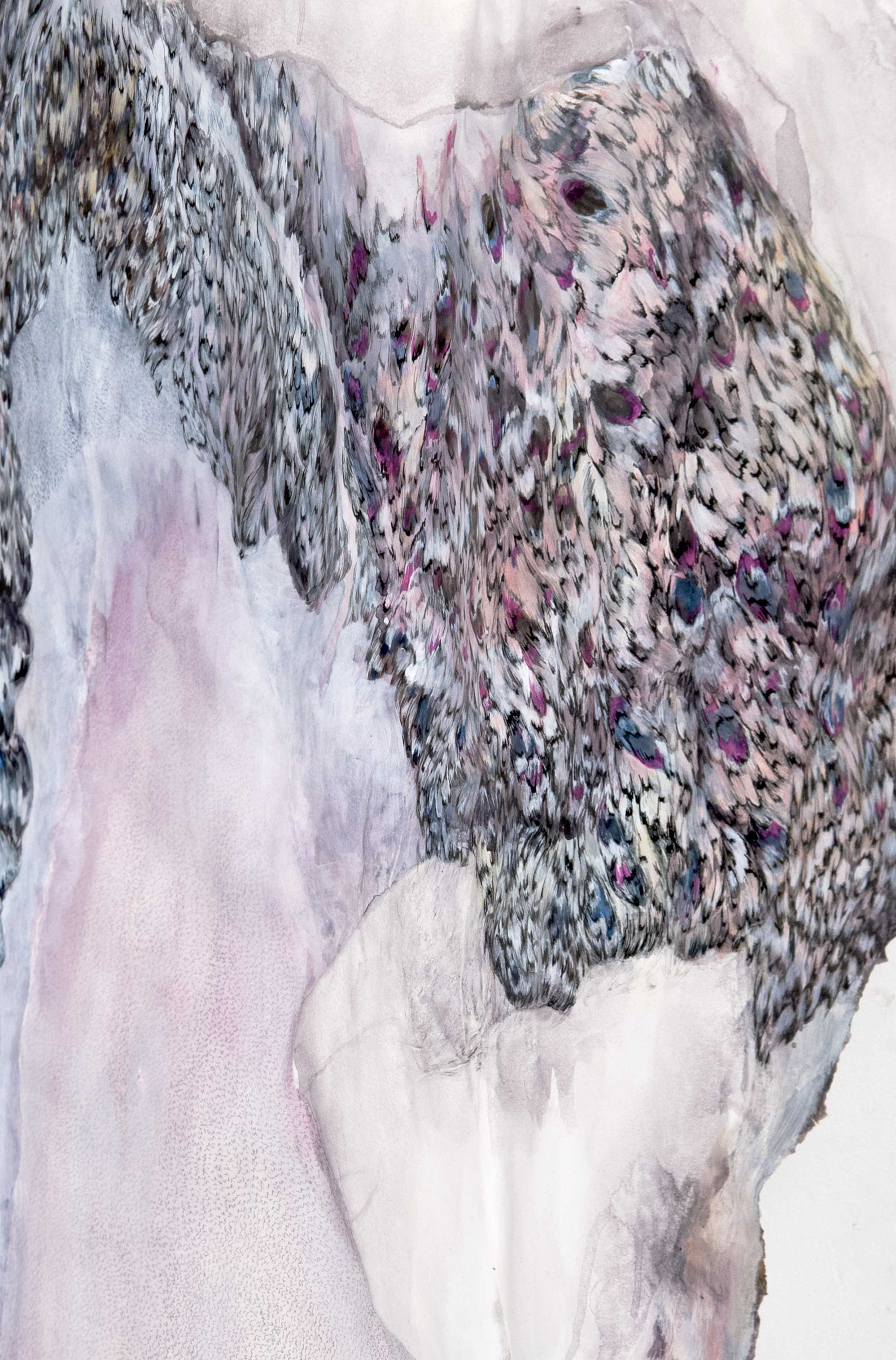 detail sweet 2017
