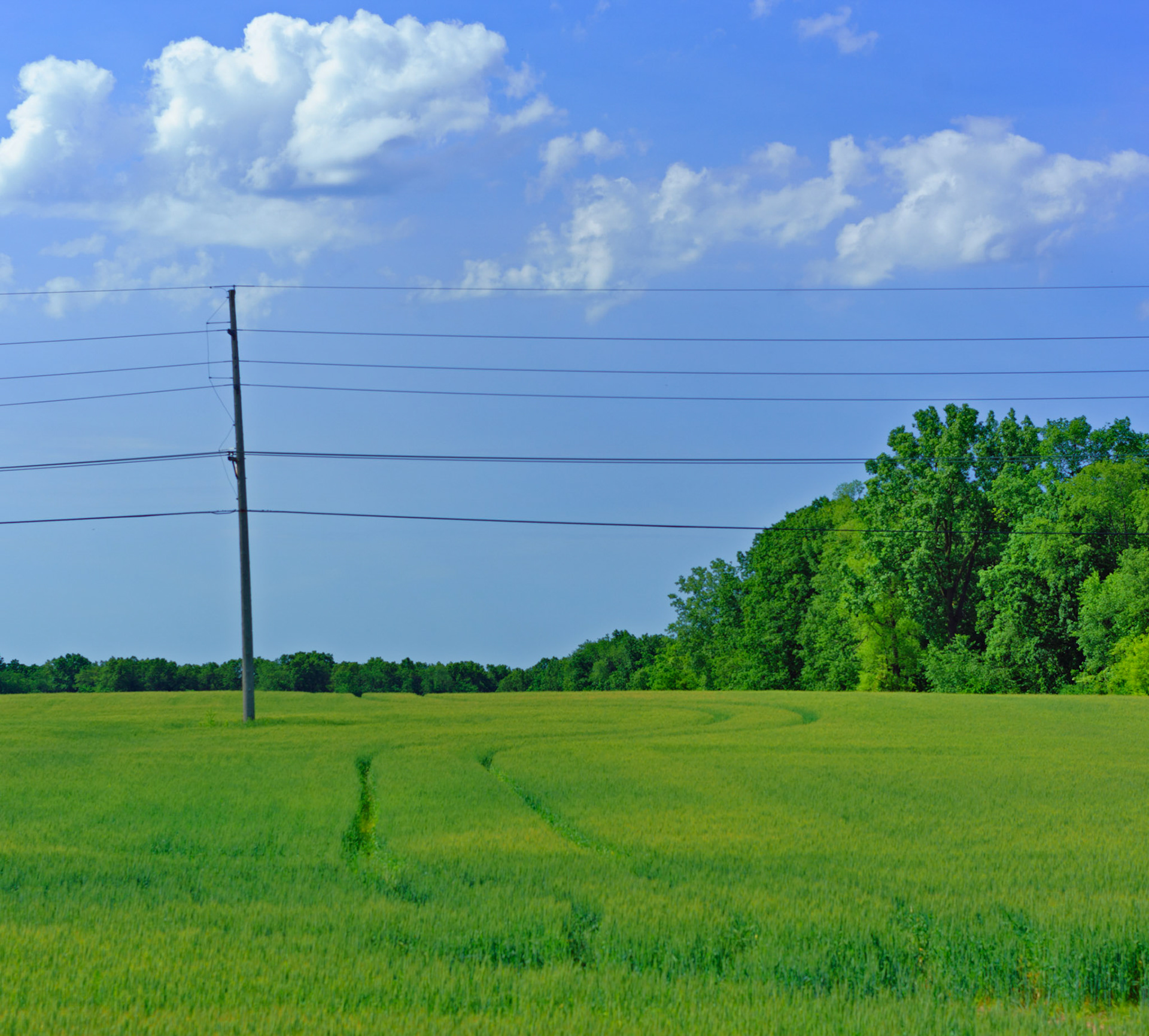 Near Howell, MI