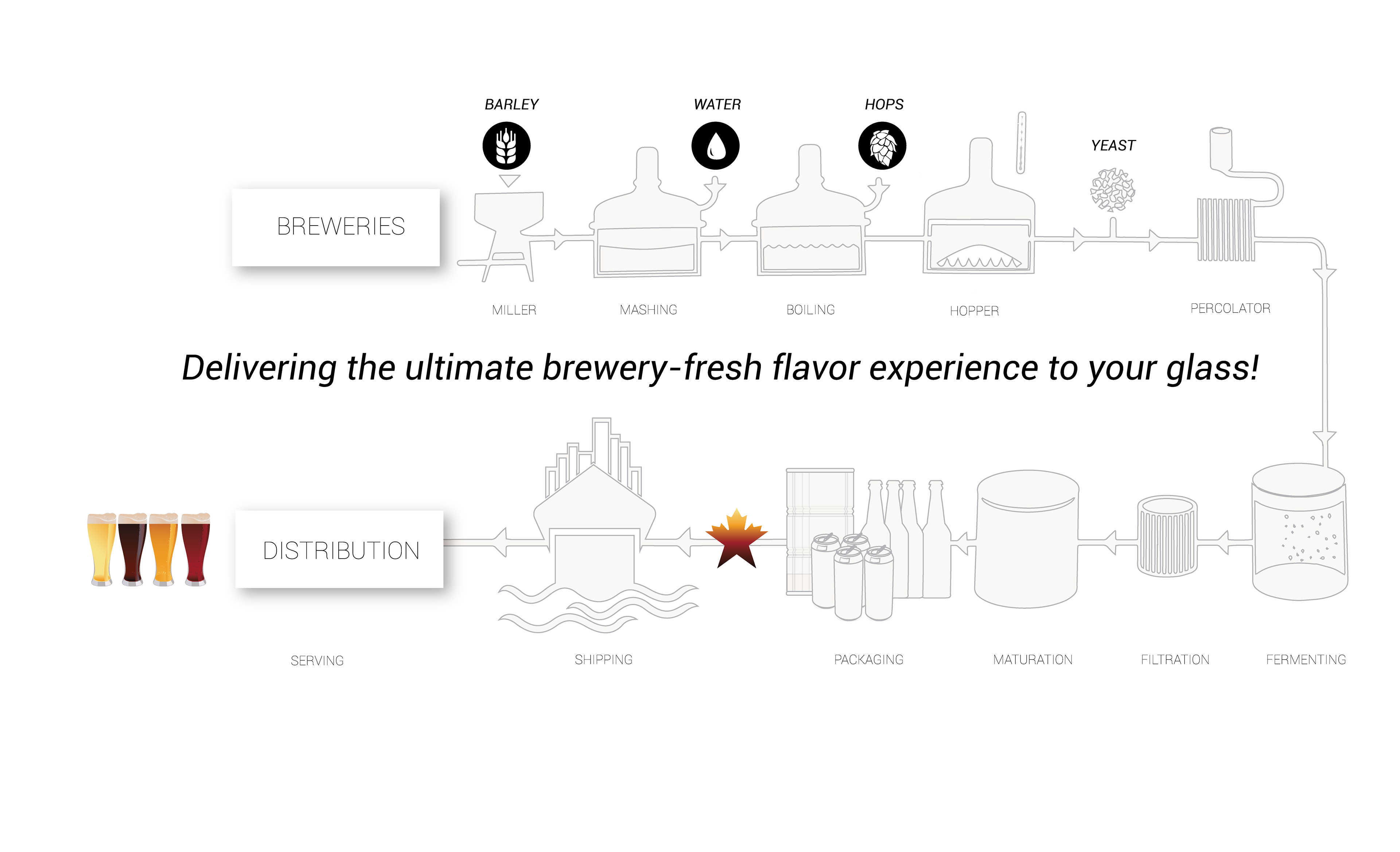 Illustrations Beer export process