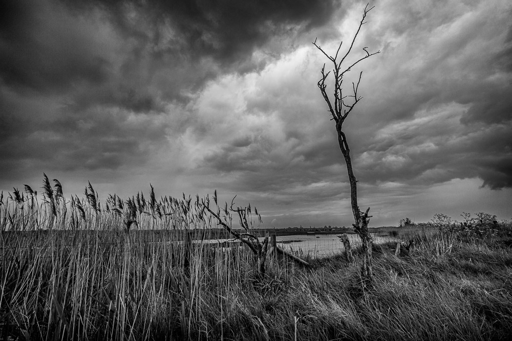 Frampton Marsh