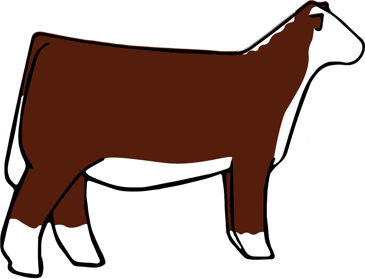 Brooklynn Salo - Cattle Designs