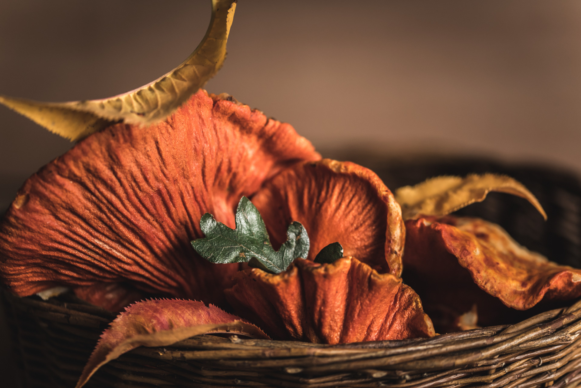 Lobster mushrooms