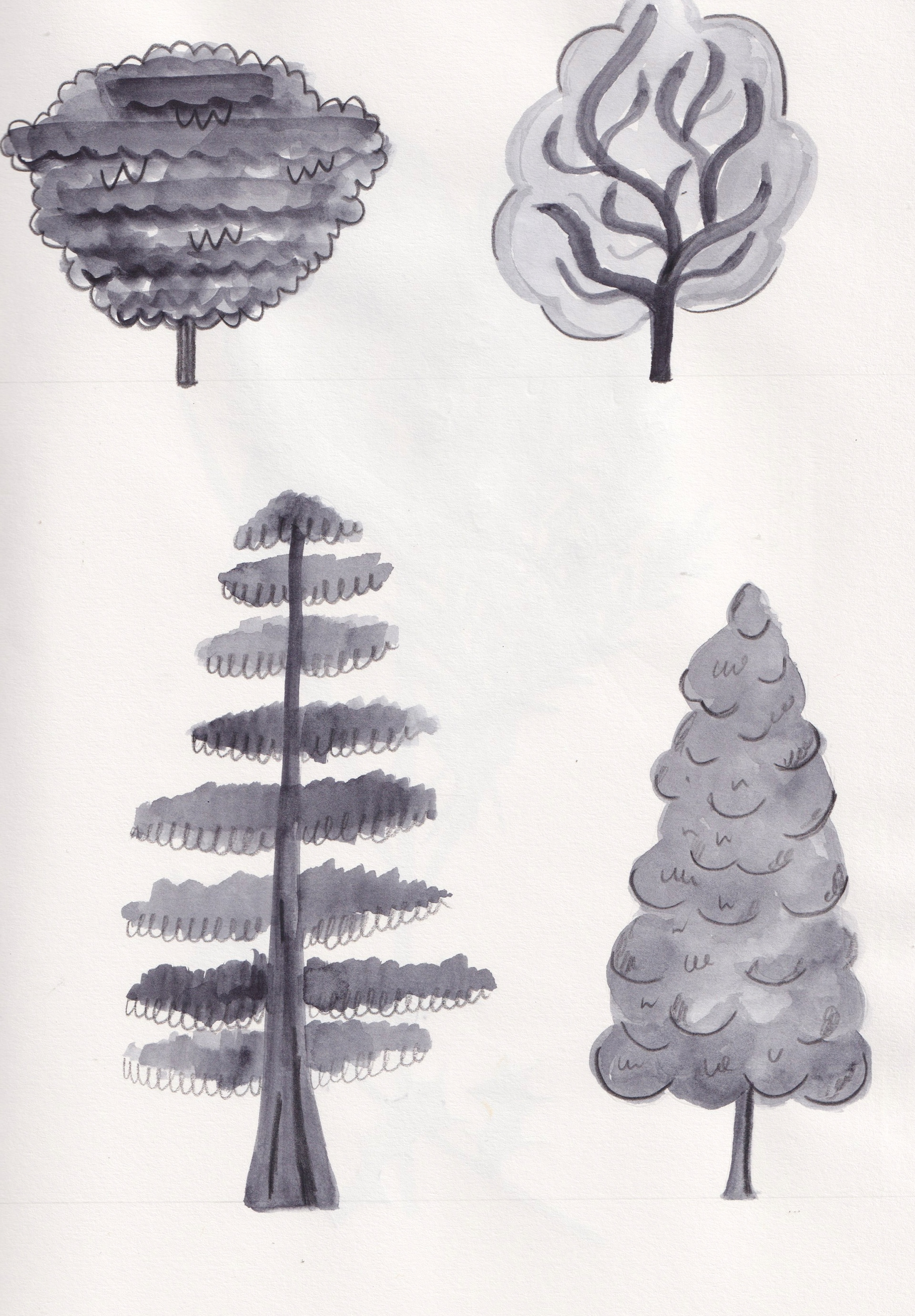 Trees