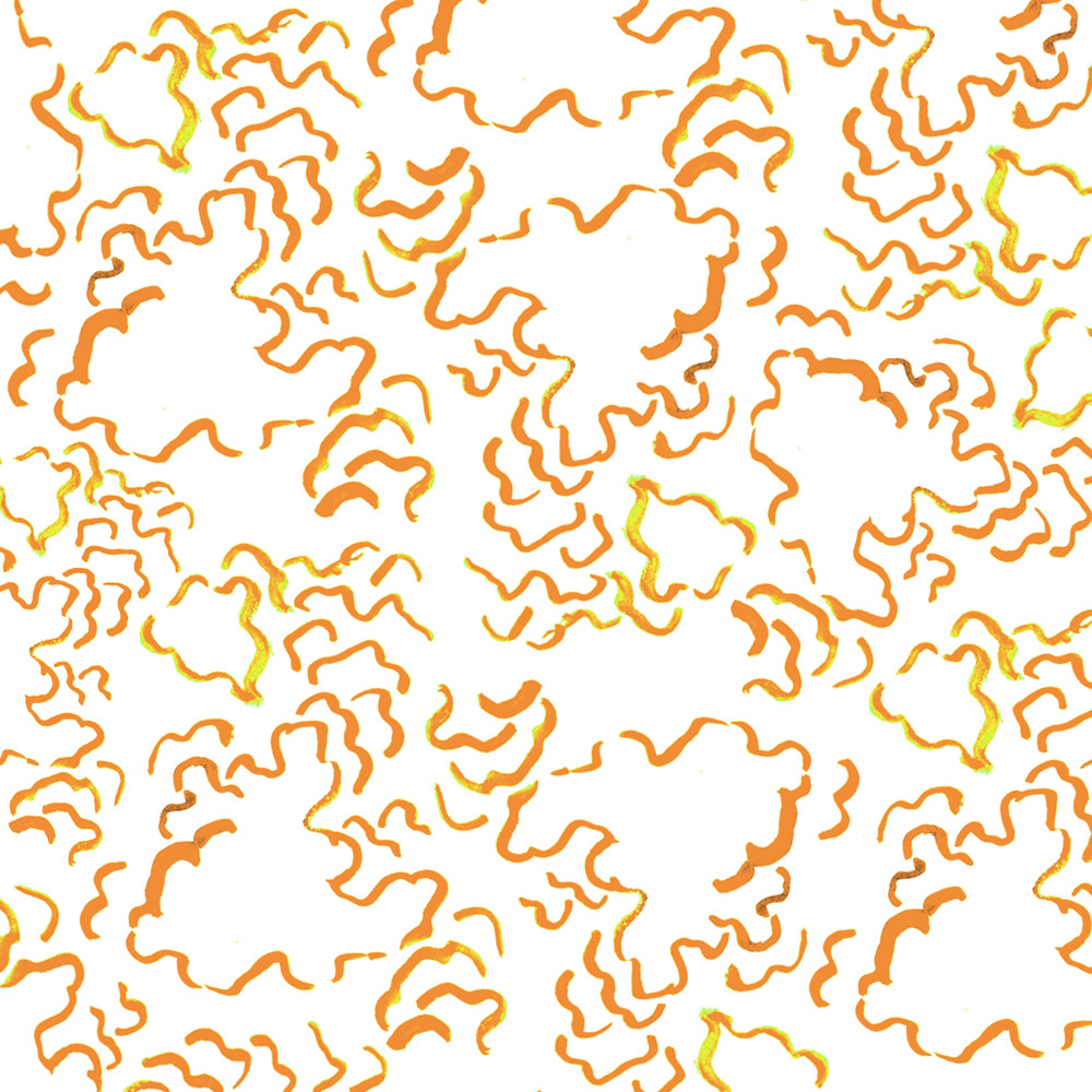 Creating a pattern from a study of fungi