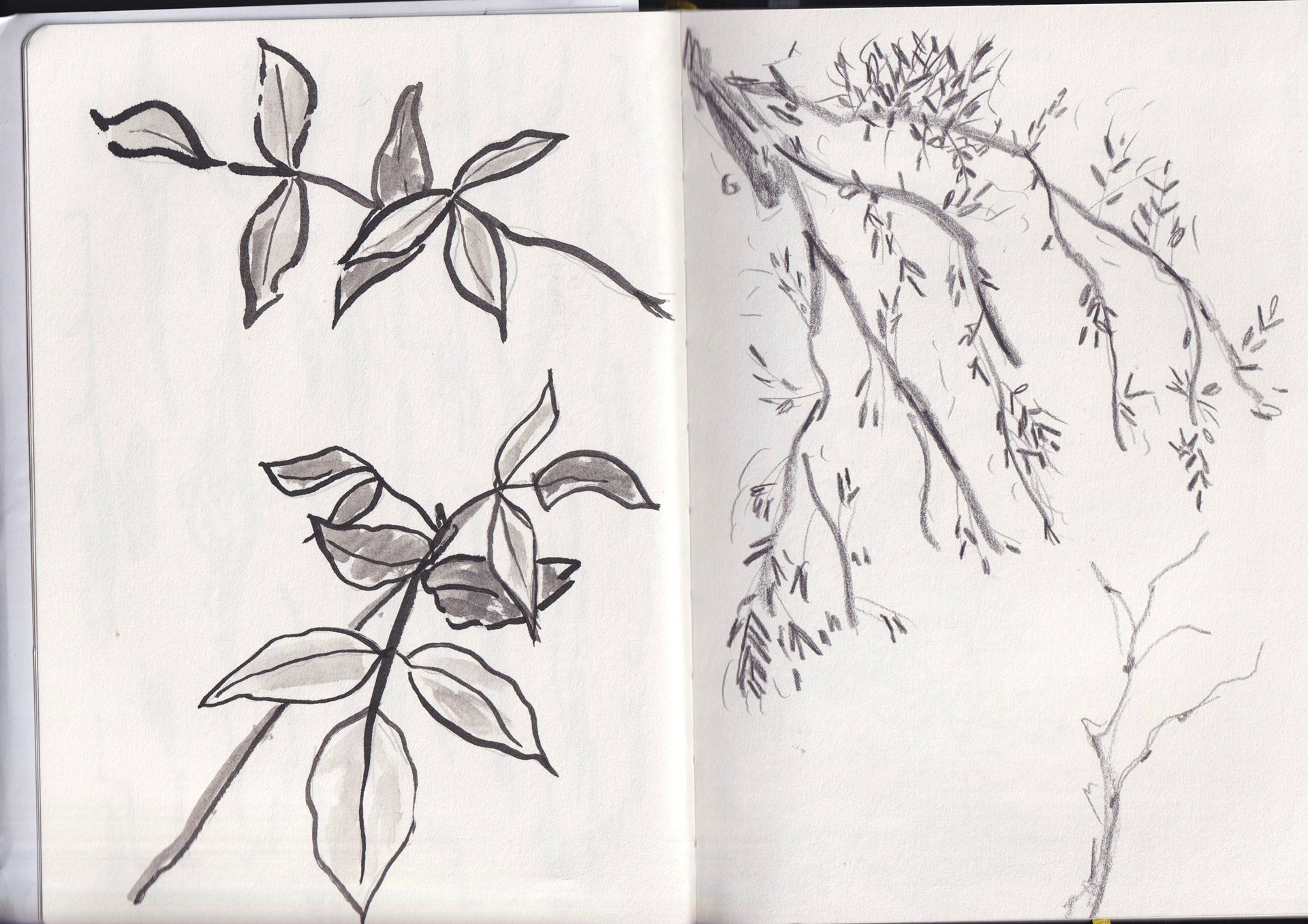 Location drawing