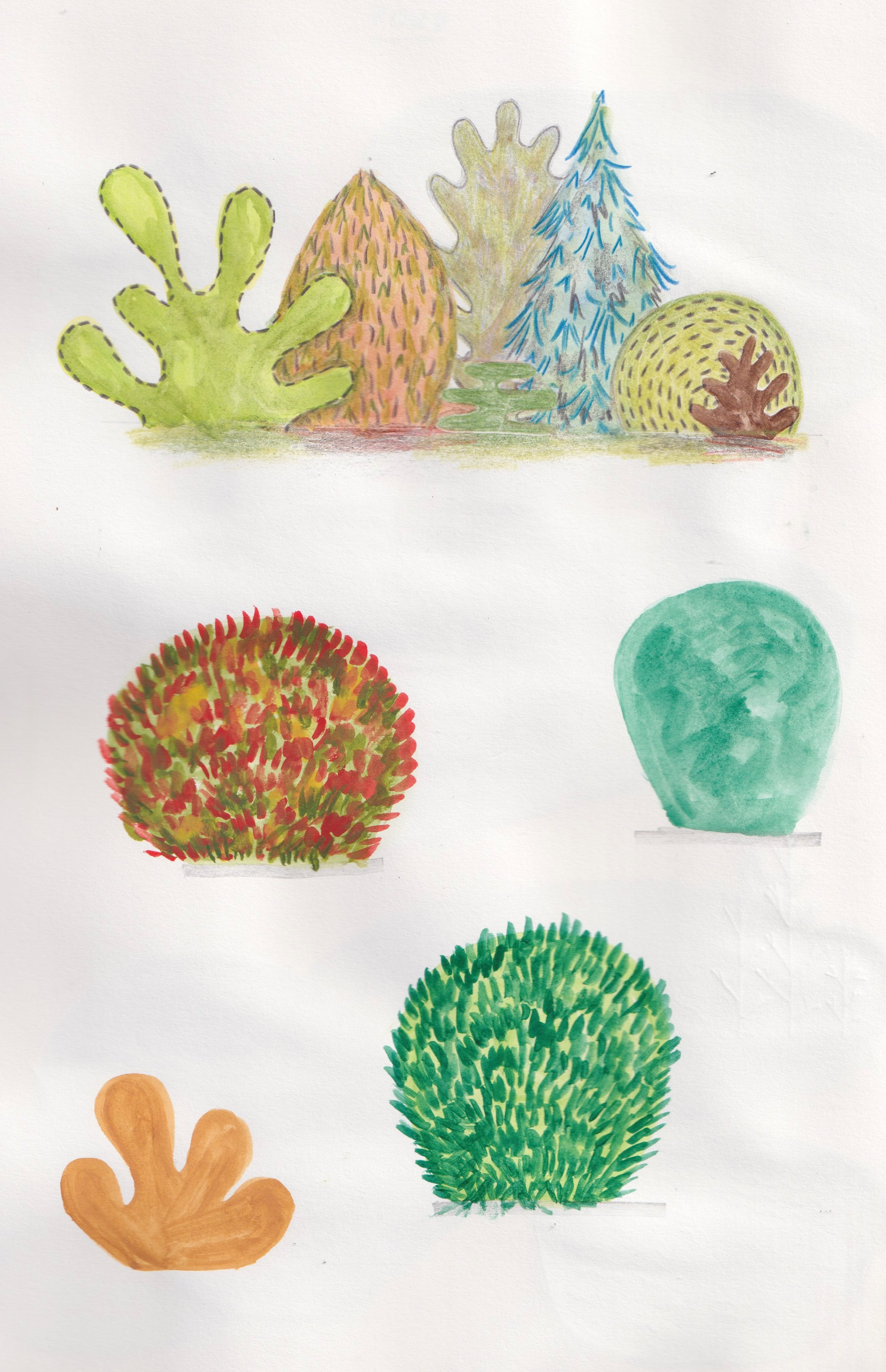 Sketchbook: shrubs