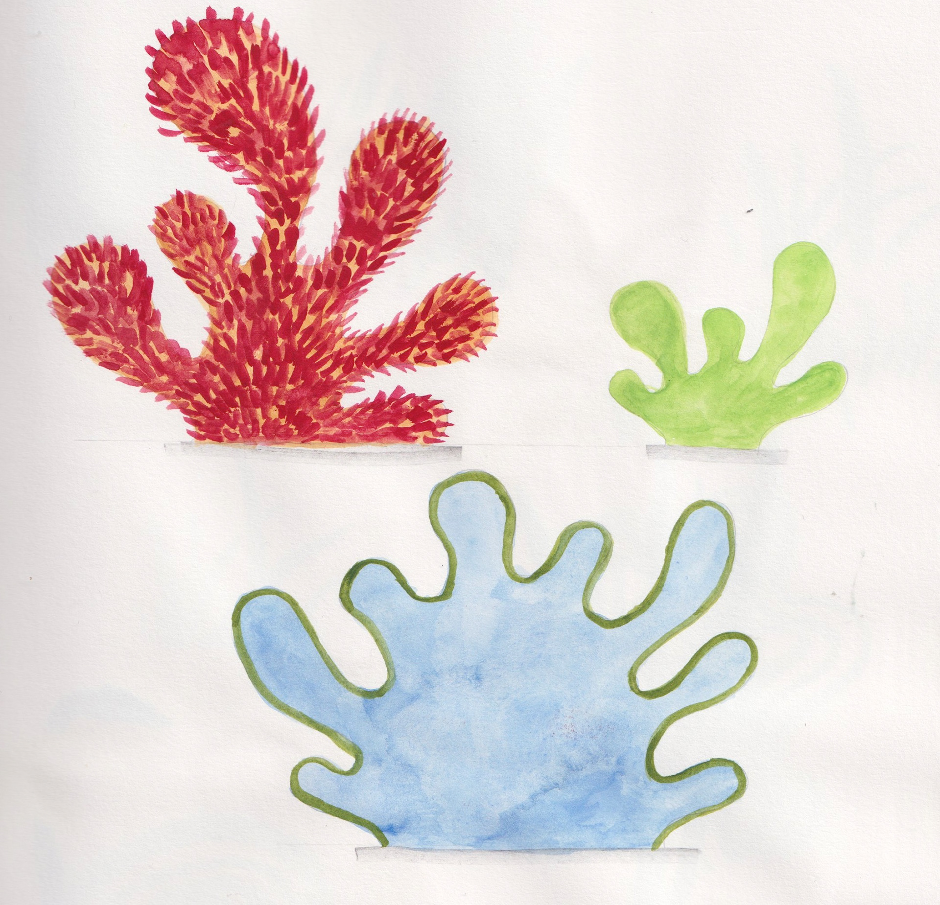 Sketchbook: shrubs