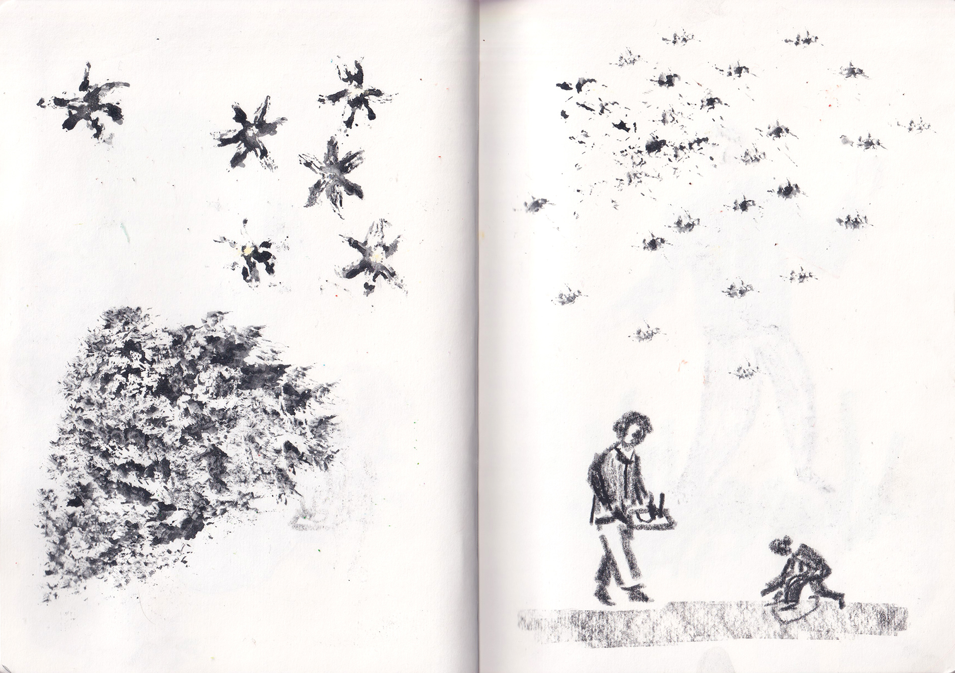 Using hyacinth flowers and gouache to create texture, plus conte sketch