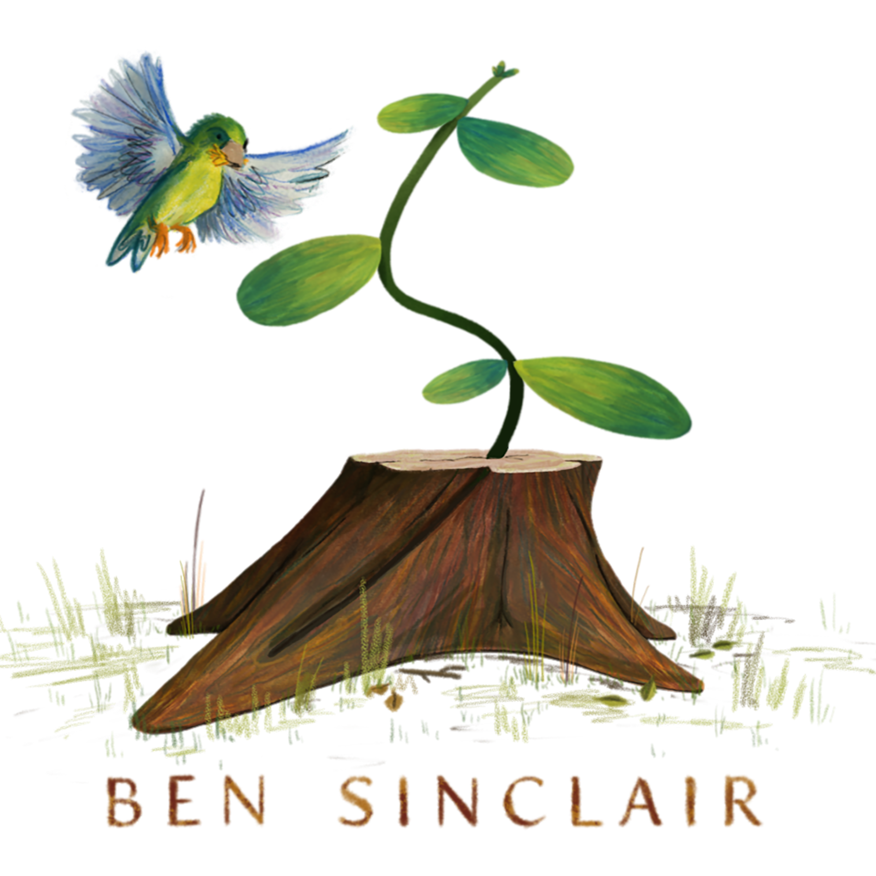 Ben Sinclair