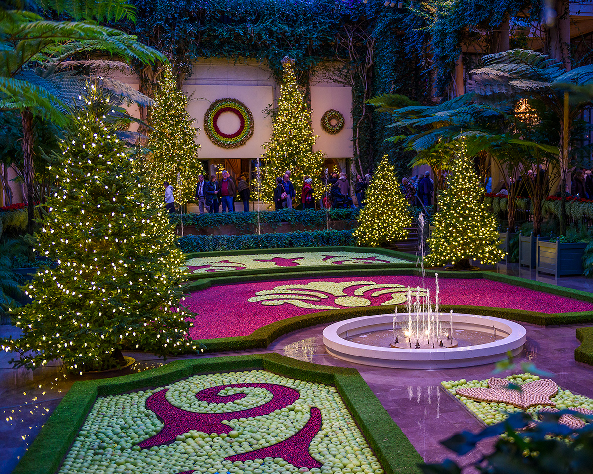 1225 Photography Longwood Gardens at Christmastime