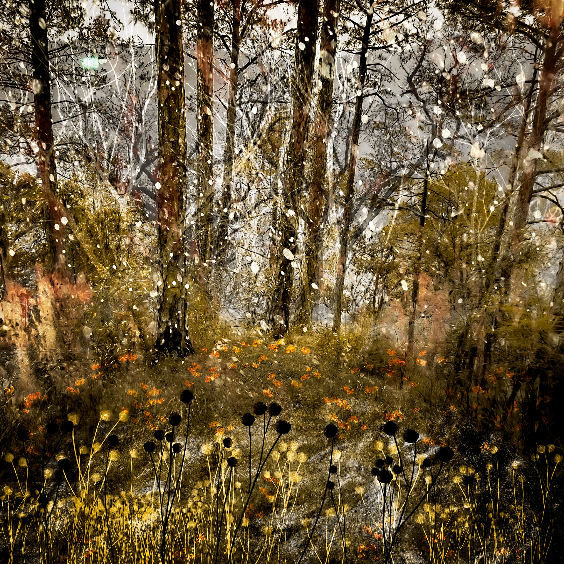 Trees and wildflowers