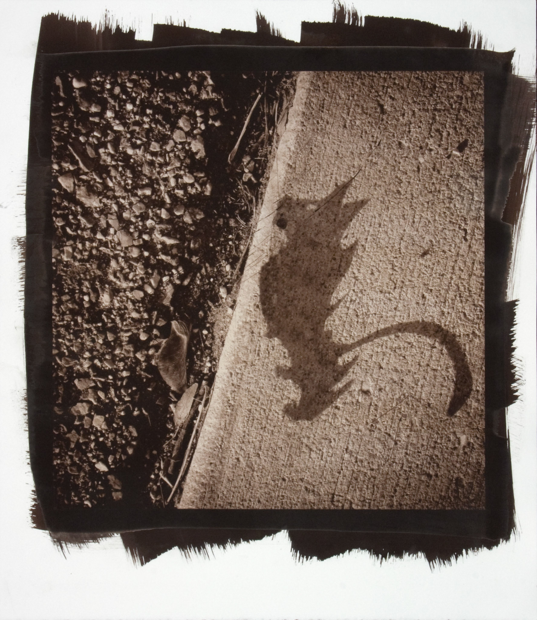 Creature No. 12; Van Dyke photograph, 17 x 15 inches; © 2010