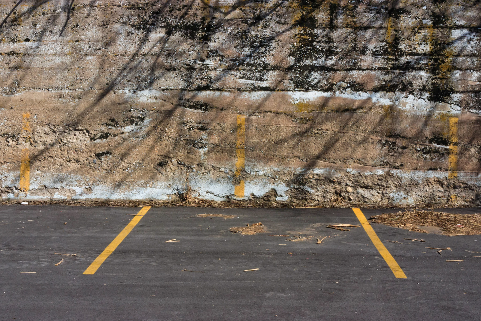 Pigment print, 20 x 30 inches.