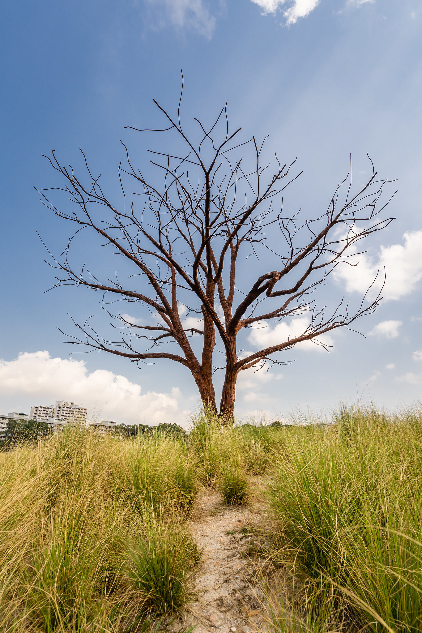 Jurong Lake Gardens (2019)