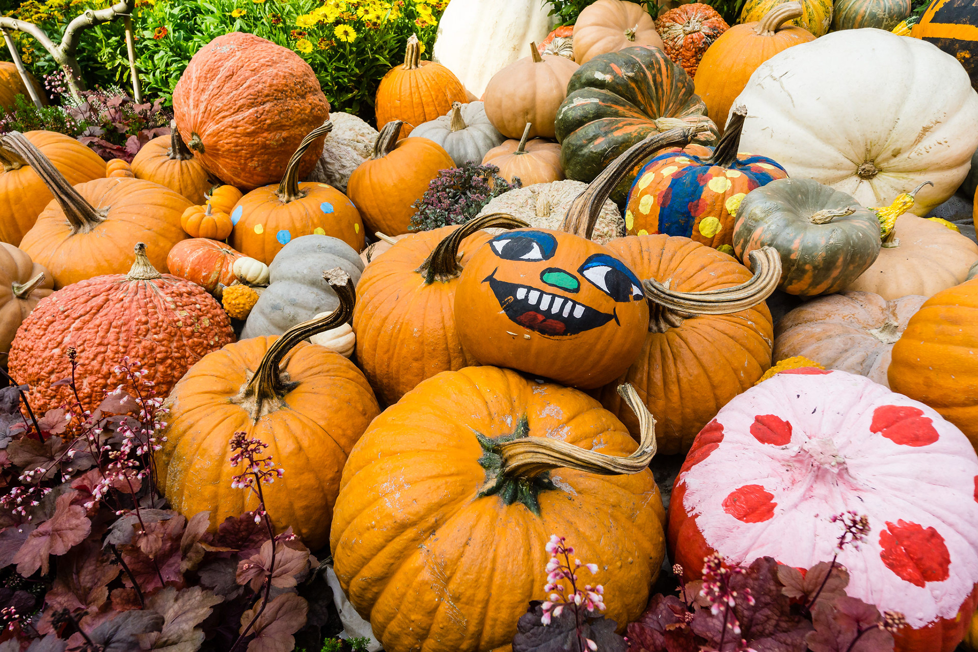 Autumn Harvest 2017