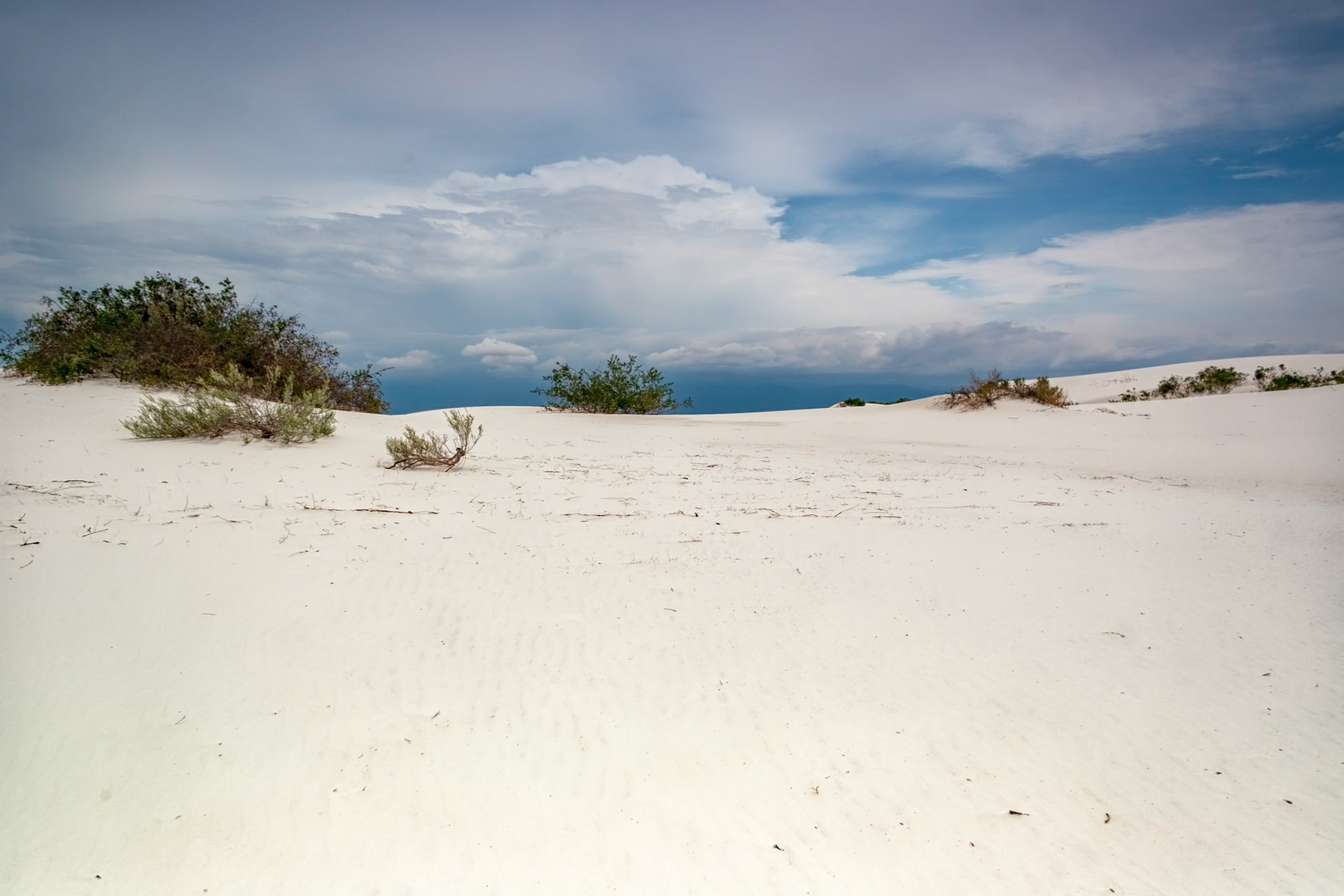White Sands National Monument, New Mexico. Rising from the heart of the Tularosa Basin is one of the world's great natural wonders - the glistening white sands of New Mexico. Great wave-like dunes of gypsum sand have engulfed 275 square miles of desert, creating the world's largest gypsum dunefield. White Sands National Monument preserves a major portion of this unique dunefield, along with the plants and animals that live here.