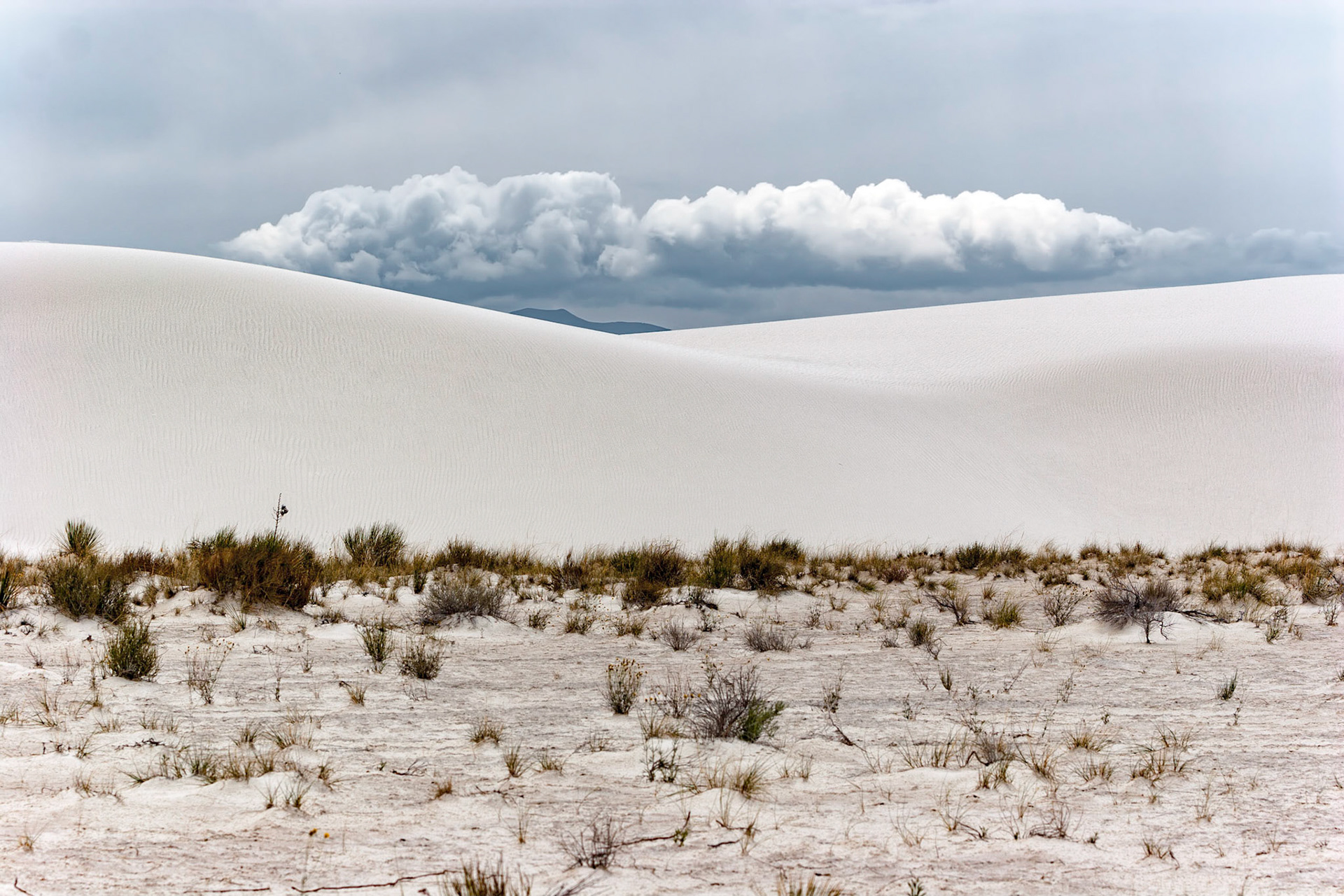 White Sands National Monument, New Mexico. Rising from the heart of the Tularosa Basin is one of the world's great natural wonders - the glistening white sands of New Mexico. Great wave-like dunes of gypsum sand have engulfed 275 square miles of desert, creating the world's largest gypsum dunefield. White Sands National Monument preserves a major portion of this unique dunefield, along with the plants and animals that live here.