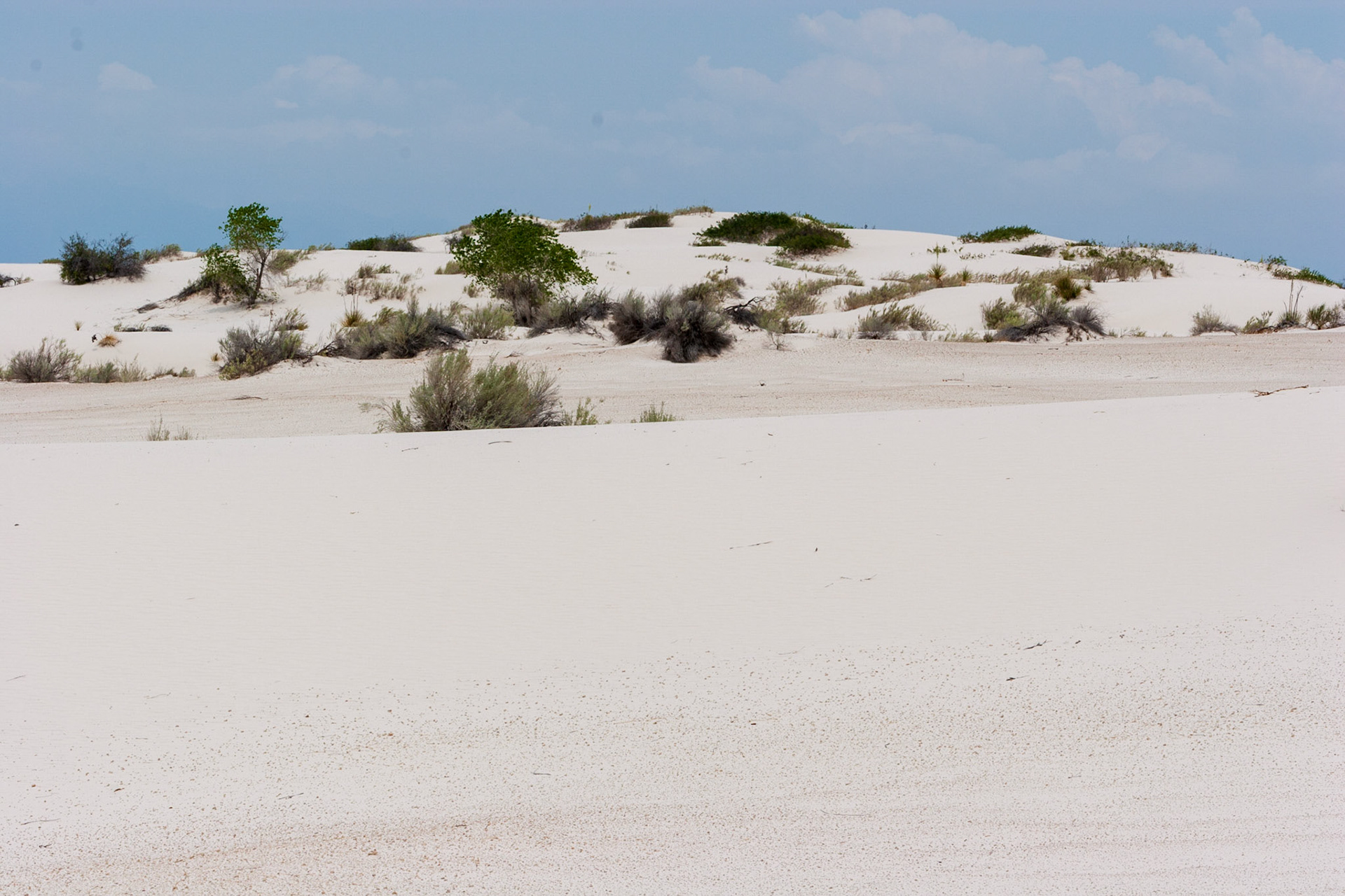 White Sands National Monument, New Mexico. Rising from the heart of the Tularosa Basin is one of the world's great natural wonders - the glistening white sands of New Mexico. Great wave-like dunes of gypsum sand have engulfed 275 square miles of desert, creating the world's largest gypsum dunefield. White Sands National Monument preserves a major portion of this unique dunefield, along with the plants and animals that live here.