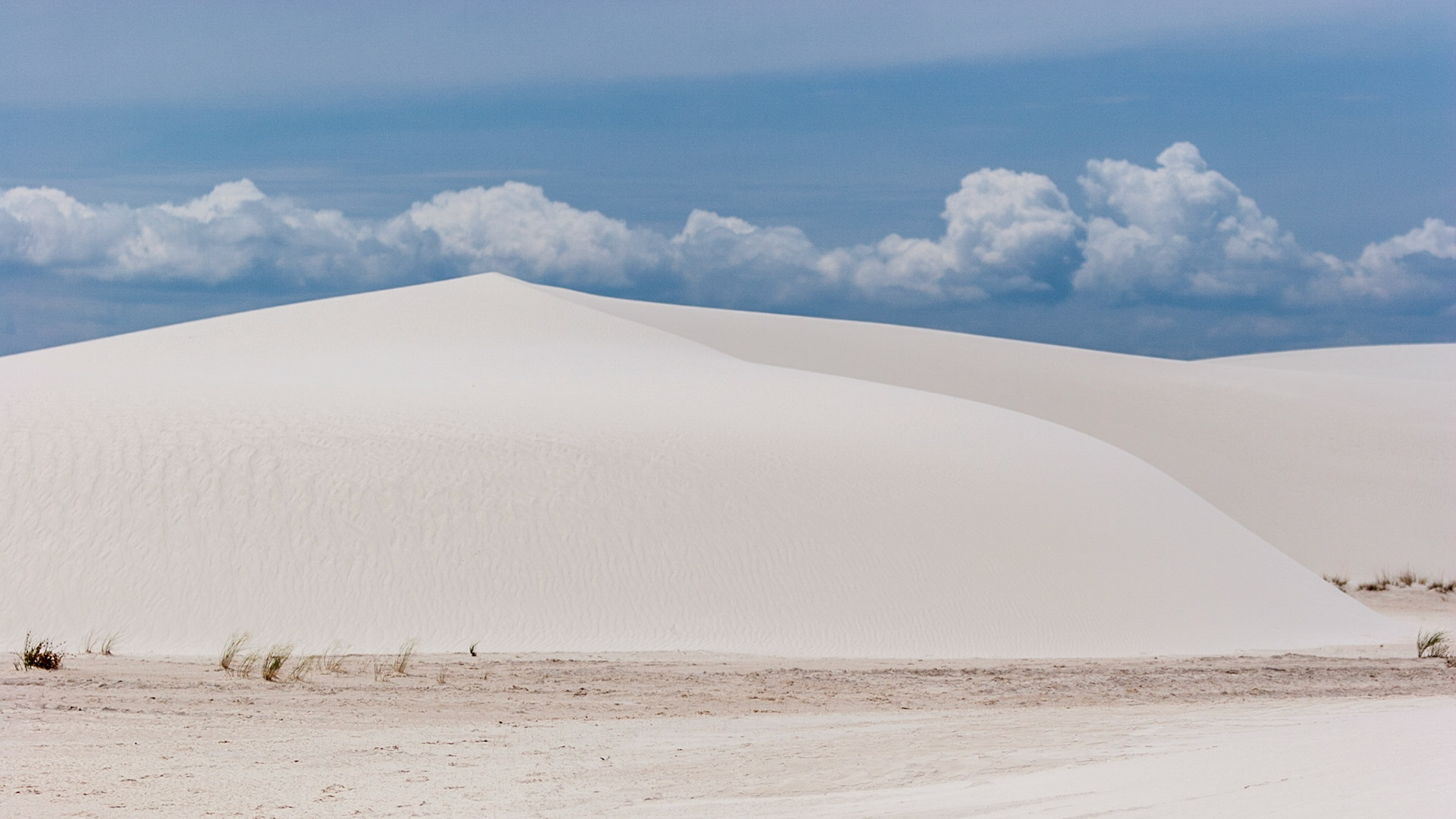 White Sands National Monument, New Mexico. Rising from the heart of the Tularosa Basin is one of the world's great natural wonders - the glistening white sands of New Mexico. Great wave-like dunes of gypsum sand have engulfed 275 square miles of desert, creating the world's largest gypsum dunefield. White Sands National Monument preserves a major portion of this unique dunefield, along with the plants and animals that live here.