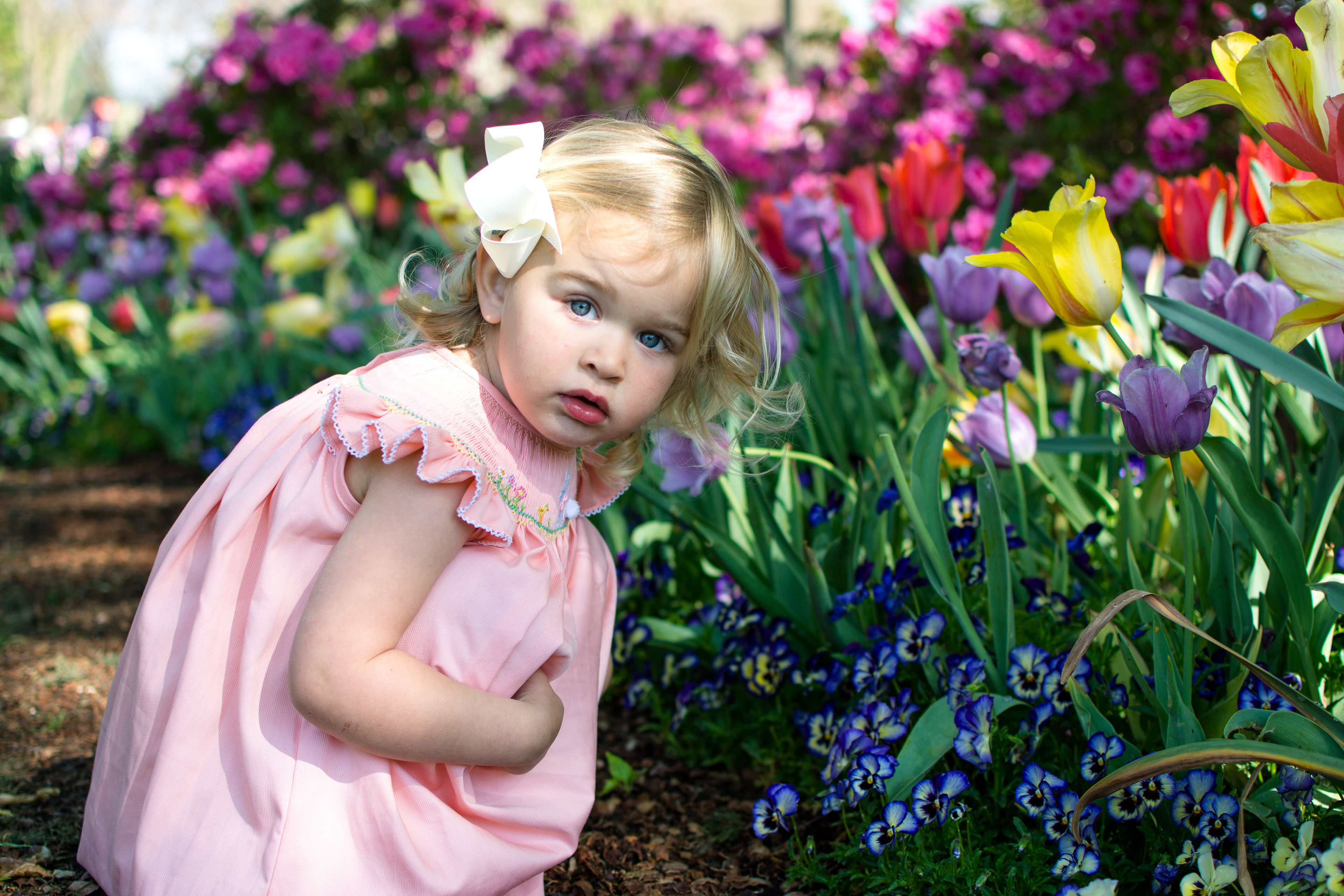 Spring Session at Dallas Arboretum
