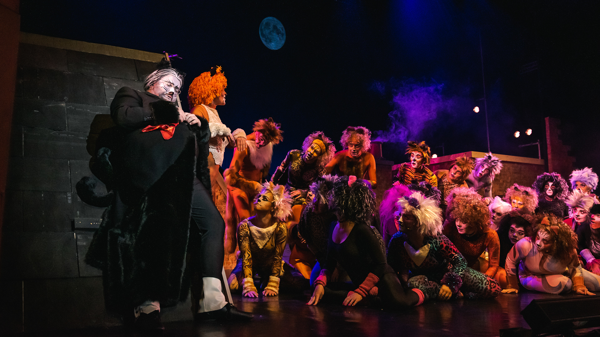 Cats The Musical