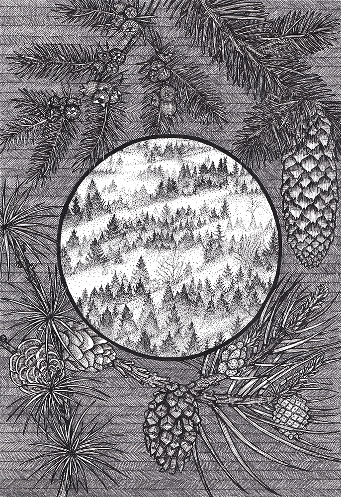 Julia Karl online portfolio - Freelance Graphic Designer & Illustrator - 'Vitamin N' - Forest in Fog - Botanical illustration - Black and white - ink
