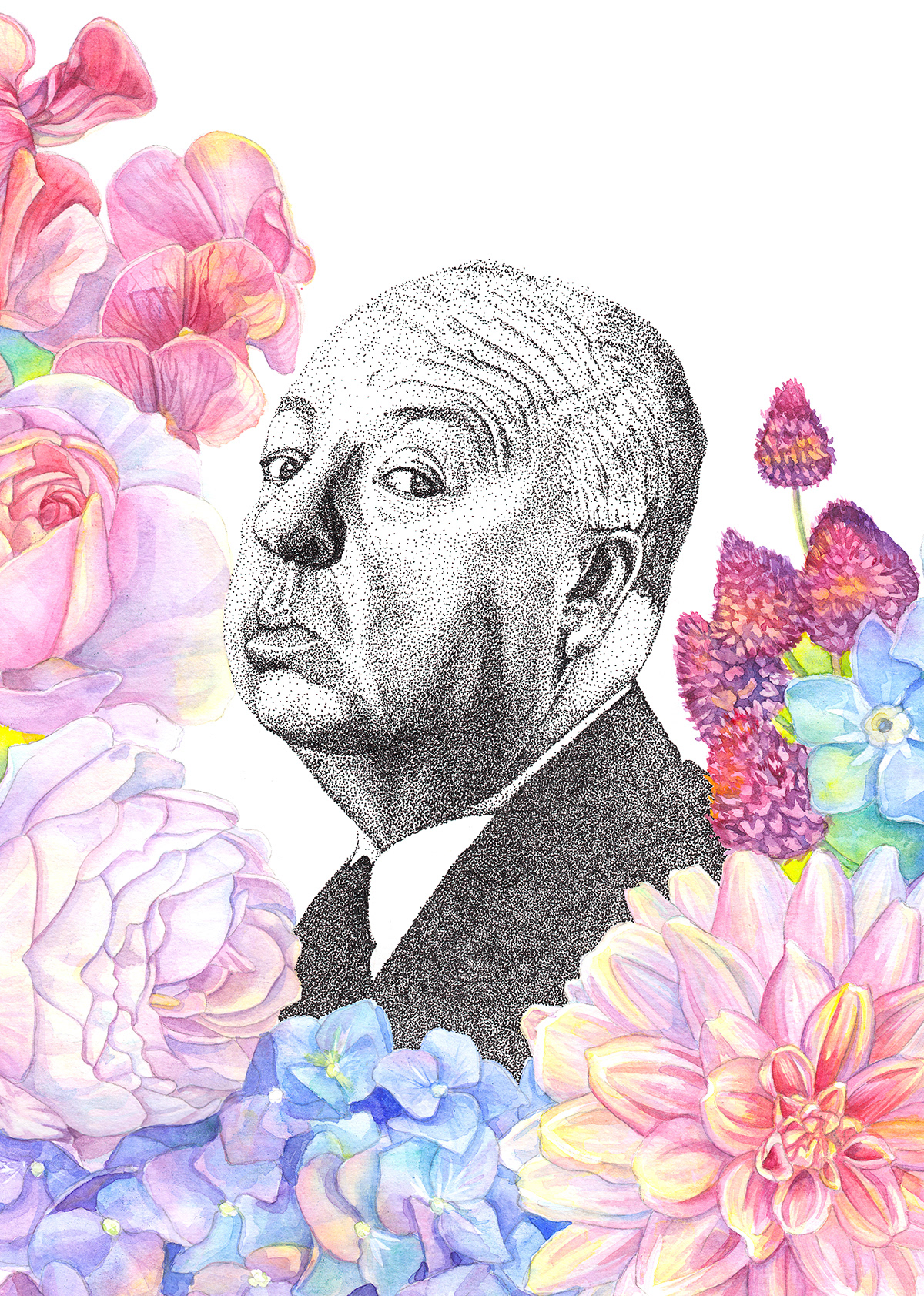 Freelance Designer & Illustrator Julia Karl Online Portfolio - Hitchcock Portrait - Ink & Watercolour Illustration – A Summer oddity -Graphic Design & Illustration