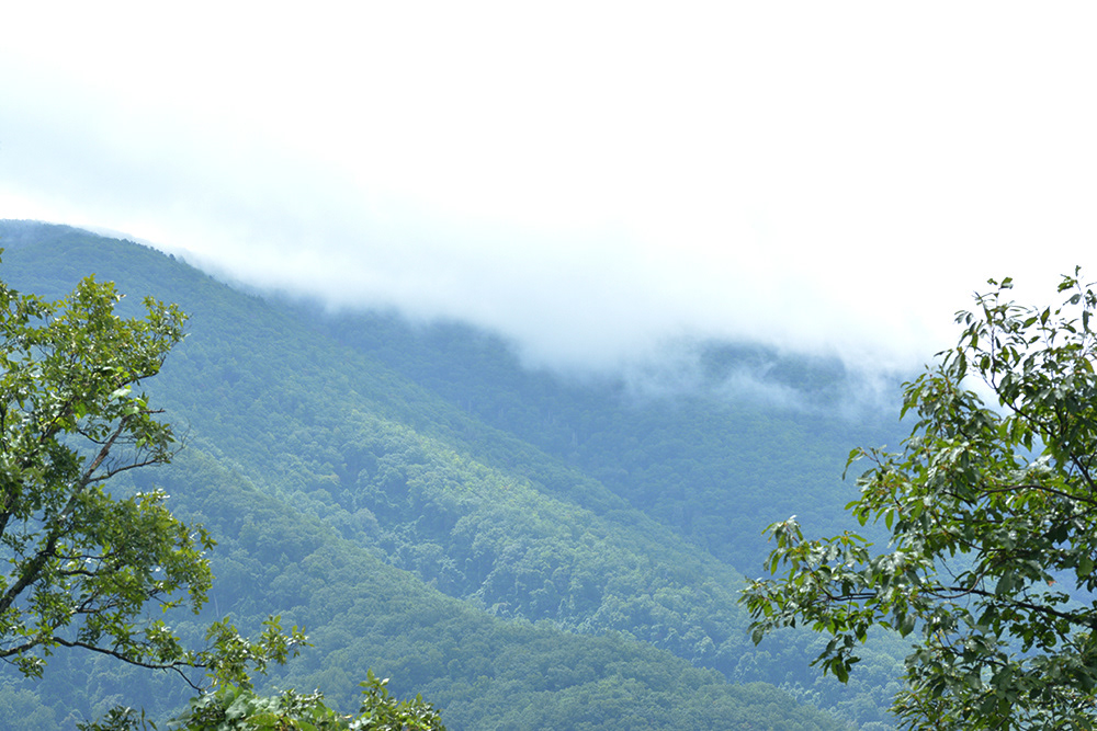 Smokey Mountains Rolling Smoke